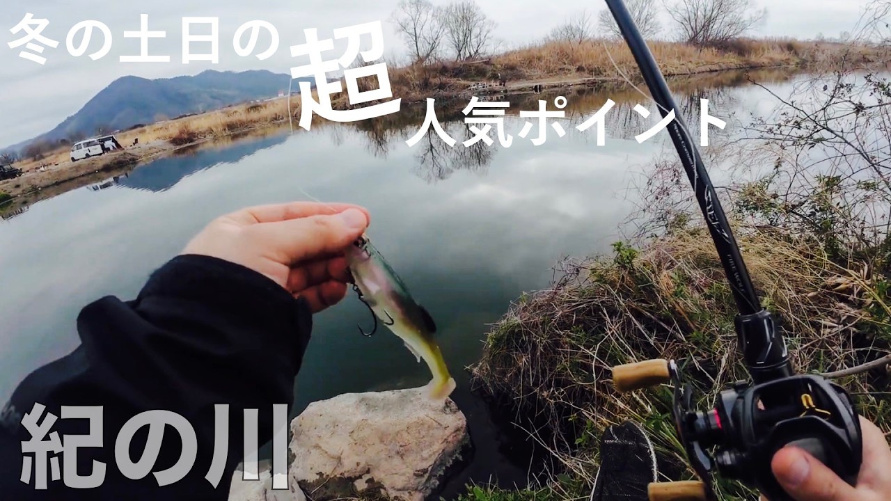 紀の川の超人気ポイントで正々堂々と釣りしてみた！【紀ノ川】【バス釣り】