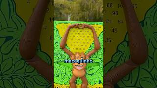 O Macaco Gênio da Matemática 😳