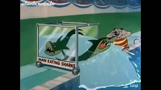 Droopy sporting events competition 🎾 | droopy for funny moments 😁