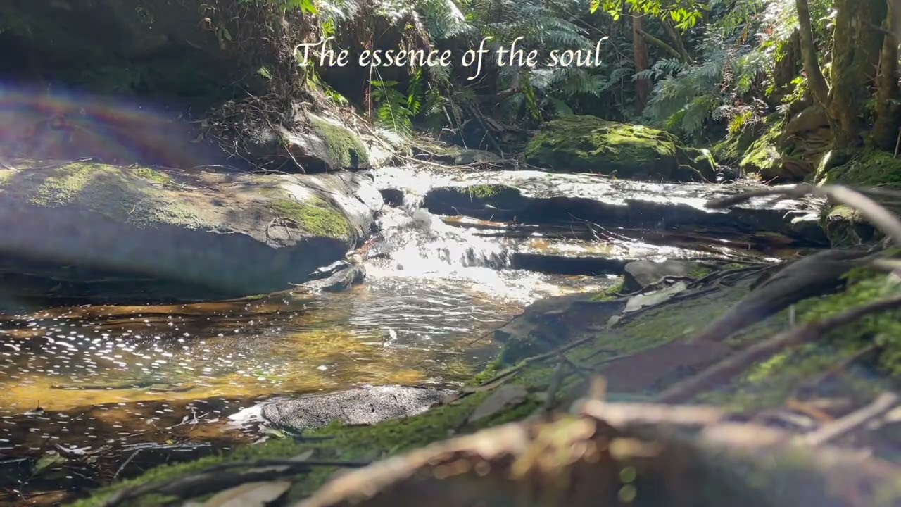 Ryan & Fi - The Essence Of The Soul