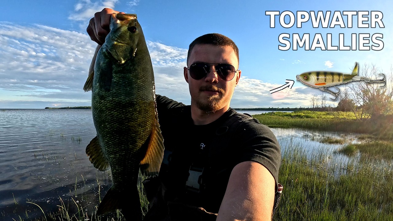 TOPWATER SMAILLES – Creek fishing Smallmouth Bass