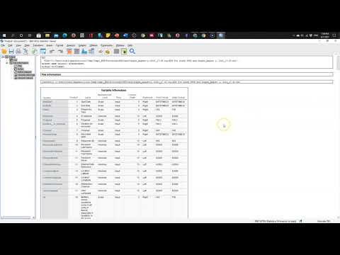 Export Qualtrics to SPSS and Create Codebook