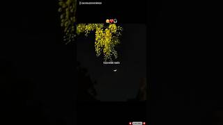 Summarizing the Universe in Love... ✨🌌 | #Shorts #Udaarian #lyrics