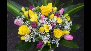 Online Flower Shop and Flower Delivery Service Debrecen www.apropoviragdebrecen.hu +36-52-319-240