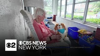 AI and robotic companions helping aging New Yorkers