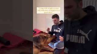 Are you smarter than a German Shepherd? #germanshepard #gymtips #nutritionfacts Are you smarter than a German Shepherd? #germanshepard #gymtips #nutritionfacts