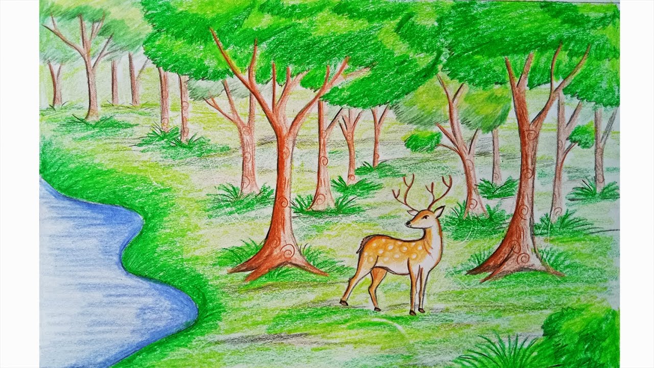 Forest Drawing With Animals | Forest Scenery Drawing Step By Step |  Wildlife Drawing Easy - YouTube