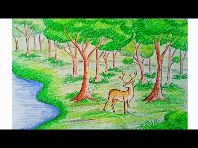 Forest Drawing Guide In 6 Steps BeginnerFriendly Video  Images Included