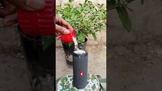 jbl filip 5 Raish test