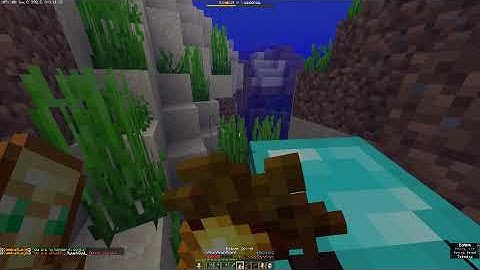 Java runtime gamma 2023 06 21   18 19 25 30 DVR   Trim