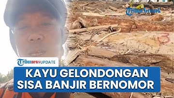 Kayu Gelondongan Terbawa Banjir Sumatera Ada Nomor Bertinta Merah, Warga: Masih Bilang Tumbang Pak?
