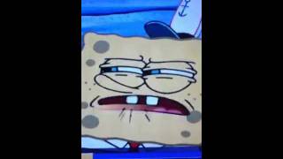 Sponge bob and squid ward