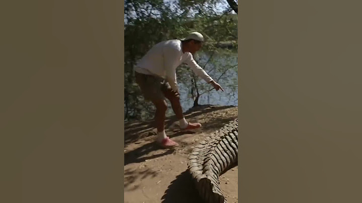 ¡Cocodrilo tira a Frank de un coletazo!  🐊😨 #WildFrankEnÁfrica