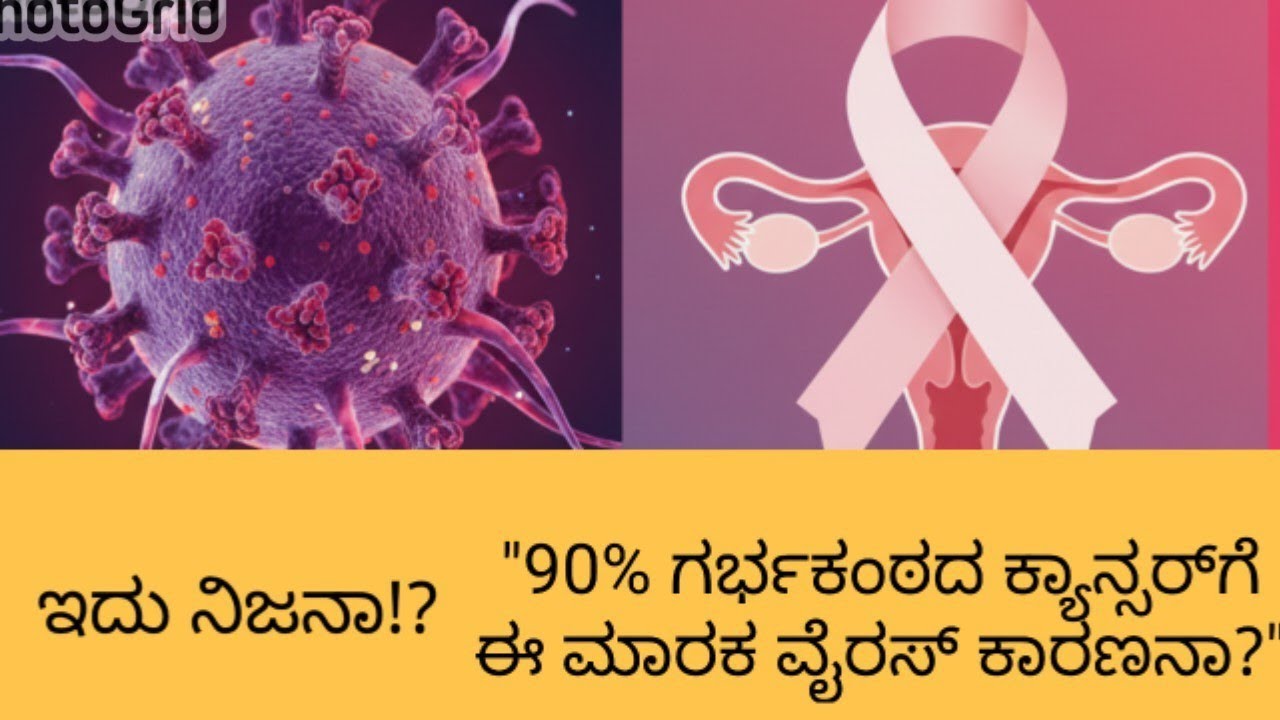 ಇದು ನಿಜನಾ!?"90% ಗರ್ಭಕಂಠದ ಕ್ಯಾನ್ಸರ್‌ಗೆ ಈ ಮಾರಕ ವೈರಸ್ ಕಾರಣನಾ?"