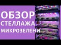 Стеллаж Микрозелень Рассада Установка  Гидропоника  HydroBoss 5.0