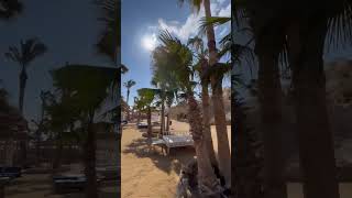 ЕГИПЕТ Albatros Citadel Sahl Hasheesh Resort 5 Сахль Хашиш 