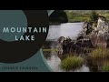 Relaxing Forest Nature Sounds Ambient Birdsong-Calming Water Sound-Soothing Mindfulness Relaxation