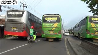 saling balap 2 bus Cirebonan dipantura`Sahabat Gemes Vs Bhineka Demba..Kejar arus mudik