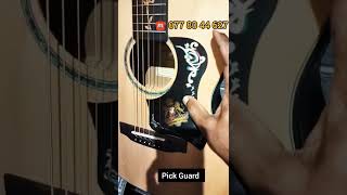 Guitar Pick Guard