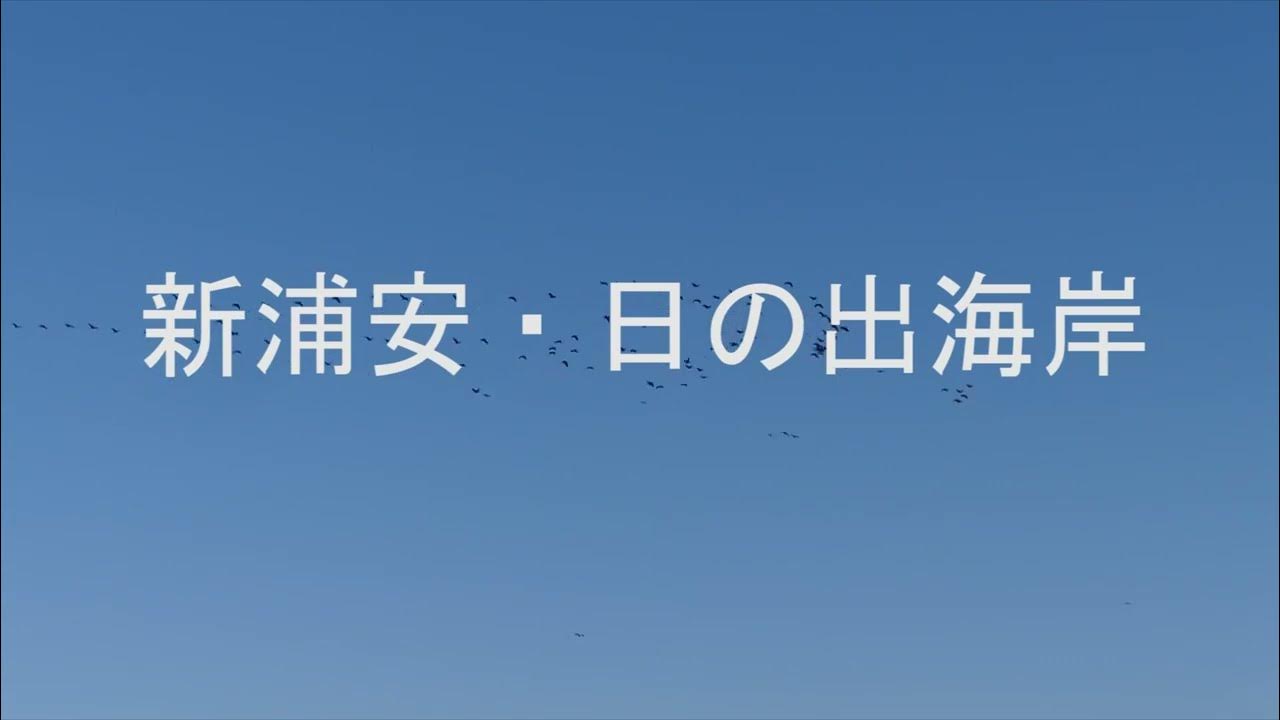 新浦安 日の出海岸 YouTube