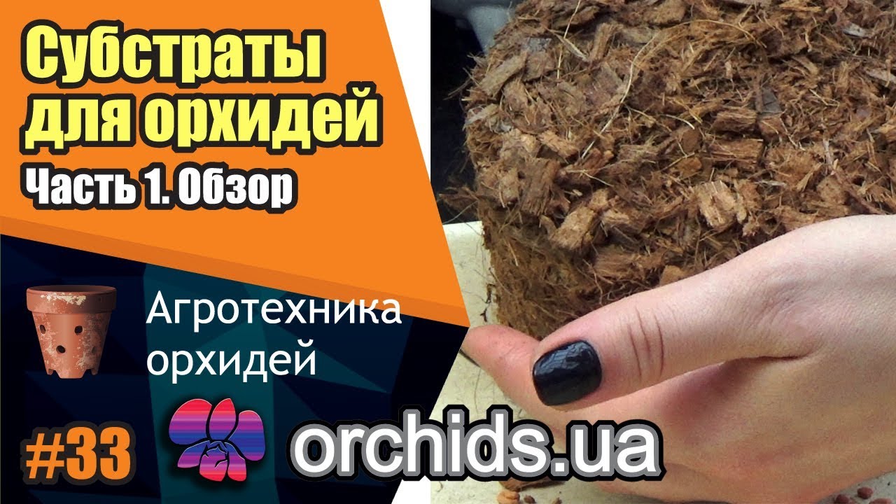 Cубстраты для орхидей. Часть 1. Обзор.