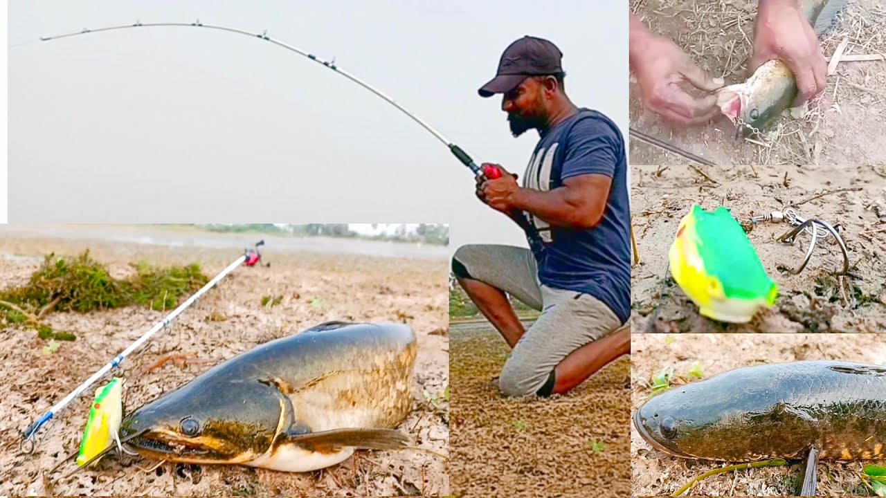 Fishing videos | Fish Catching Video | Big Fish Catching Videos | Fish ...