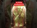 Jai balaji maharaj ki #viralvideo #shorts #balaji