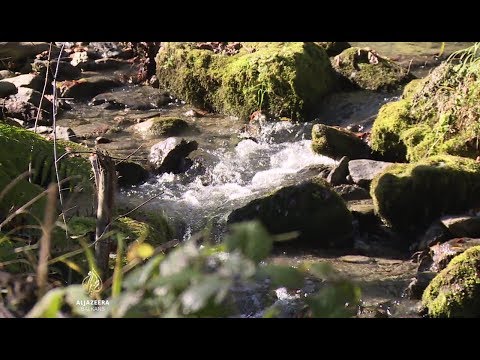 Video: Tamne Duše 2 - Kraljev Prolaz, Vitezni Vitez