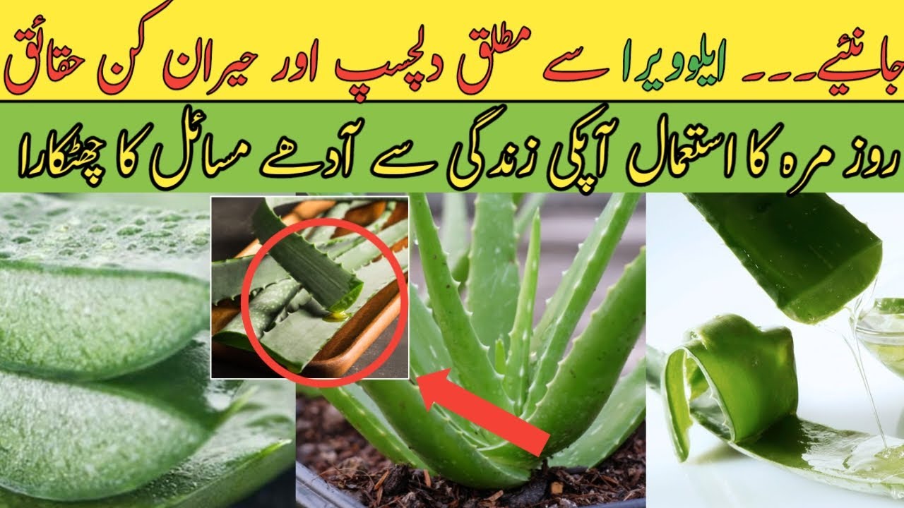 Aloe Vera Benefits Kawar Gandal Ke Fayde Aloe Vera Gel, Face Mask