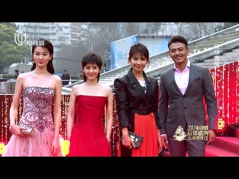 2017.02.26 2017中國電視劇品質盛典 紅毯儀式 劉濤 喬欣 王子文 楊紫 楊爍