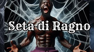 Seta di Ragno (multicollab)