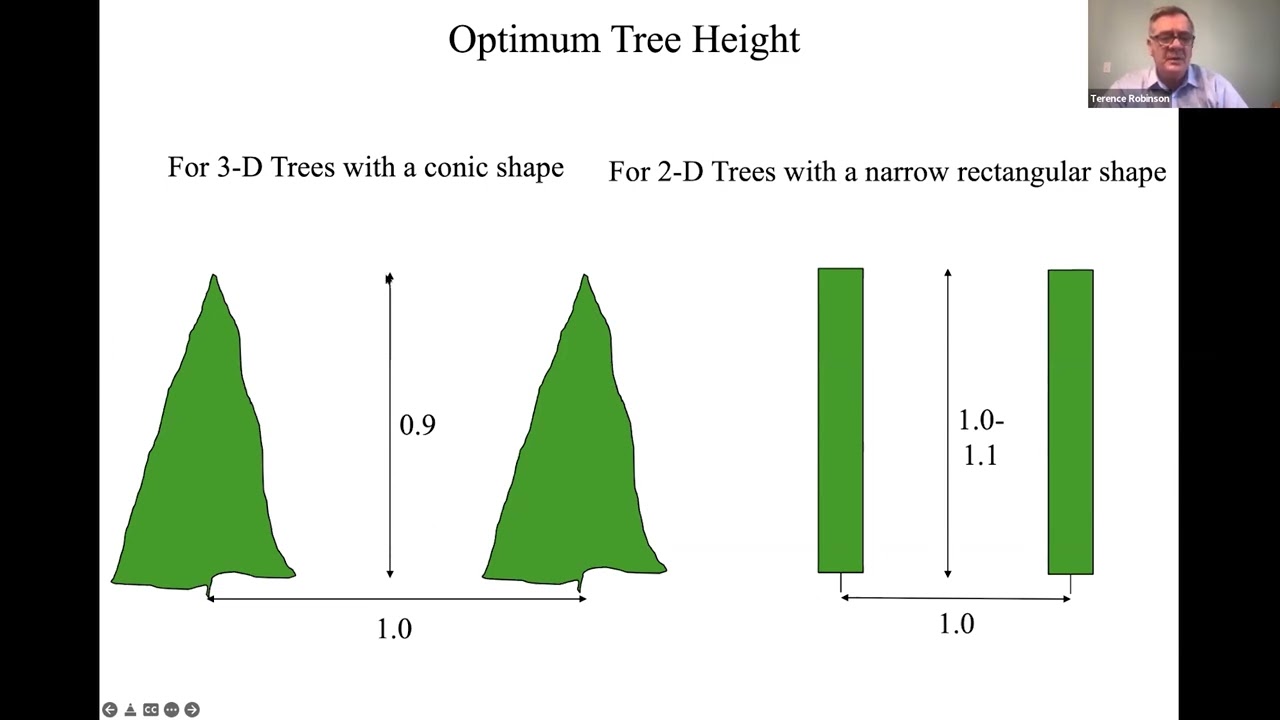 The importance of diffuse scattering and factors that influence light interception, distribution,