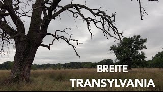 Breite, Transylvania (4K)