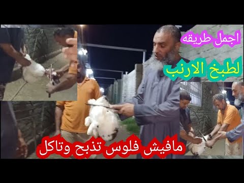 اسهل طريقه لذبح وطبخ الارنب هتربي ارانب مافيش فلوس هتاكل وهتذبح لوحدك