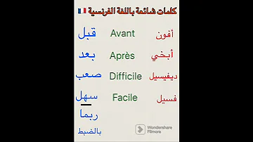 كلمات شائعة في اللغة الفرنسية تعلم الفرنسية بسهولة 