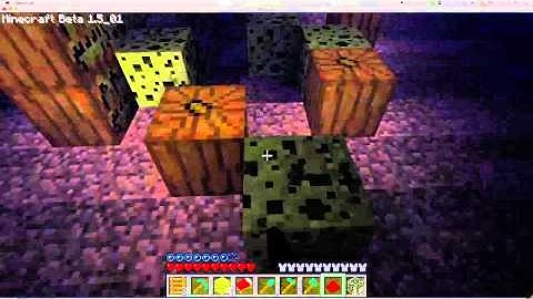 SPONGE ON MINECRAFT BETA 1.5!!!!
