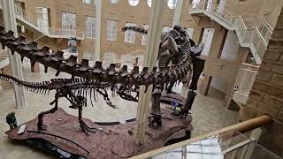 : Fernbank Museum of Natural History, in Atlanta, Georgia on vacation on spring break part 3