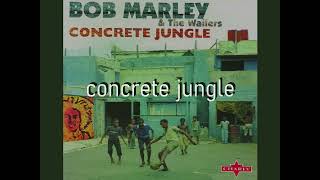 Concrete Jungle KARAOKE by BOB MARLEY and the WAILERS  ( lucien depuydt karaoke )