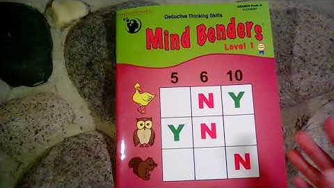 Mind Benders Level 1 Review (Critical Thinking Company)