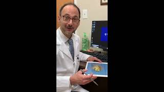 Dr. Daniel Becker Explains Nasal Tip Surgery Advancements