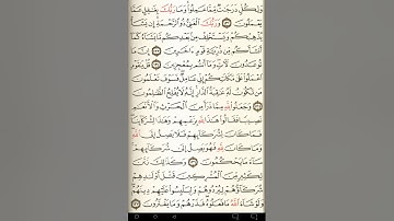 ماهر المعيقلي سورة الأنعام مكتوبة صفحة 145 مصحف المدينة المنورة جودة عالية