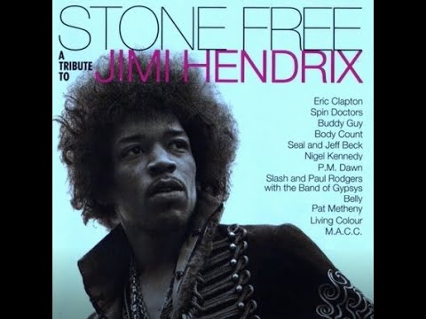 Stone Free Jimi Hendrix トリビュート オリジナル LP Amazon.com: Stone Free: Jimi Hendrix Tribute: CDs & Vinyl