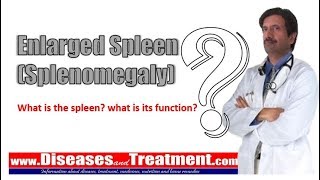 Enlarged Spleen (Splenomegaly): What is the spleen? What is its function)?