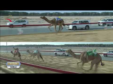 إيذاع للقبائل المرموم 12 12 2025 ش13 منحاف ل سعيد سالم بالمر السبوسي 9 18 1