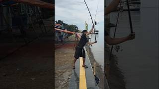 Complete Tutorial for Fishing for Pasiran with Chicken Intestine Bait #shorts #shortvideo #shorts...