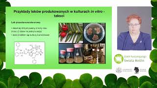 Kultury roślinne in-vitro - wykorzystanie roślin a ochrona bioróżnorodności