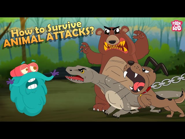 How to Survive Animal Attacks - Bear, Dog, Shark, Komodo Dragon & Giant Squid | The Dr. Binocs Show class=