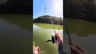 Lure Skipping
