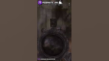 Revive Bolt Spammers are CRAZY | Hunt: Showdown 1896 Clip