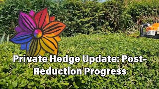 Private Hedge Update Post-Reduction Progress